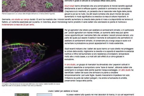 USARE I BATTERI PER ADATTARSI AL RISCALDAMENTO GLOBALE