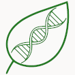 Biotecnologie per l'ambiente e l'industria